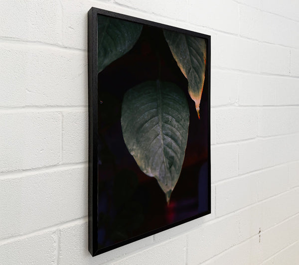 Green Leaf Silhouette