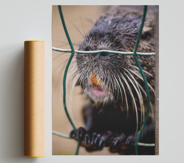 Green And Black Whiskered Bite Giclee Print