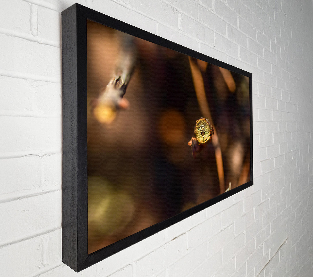  A Canvas Print of Golden Branch Detail Canvas Art