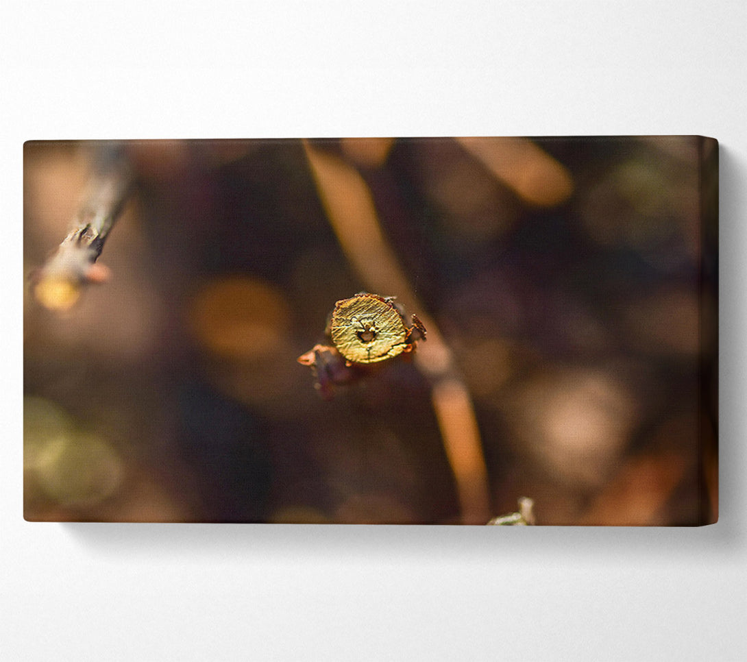  A Canvas Print of Golden Branch Detail Canvas Art