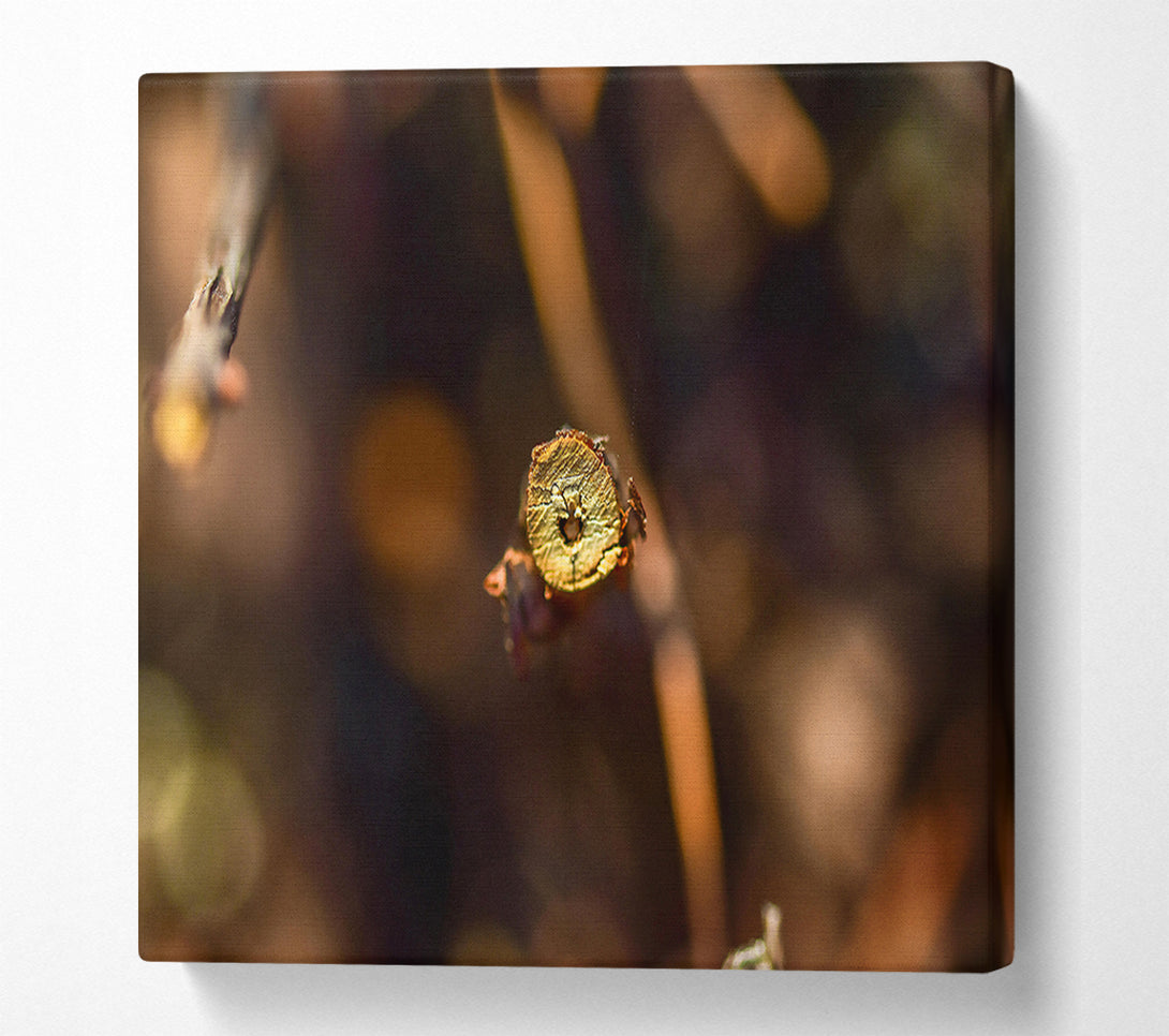  A Canvas Print of Golden Branch Detail Canvas Art