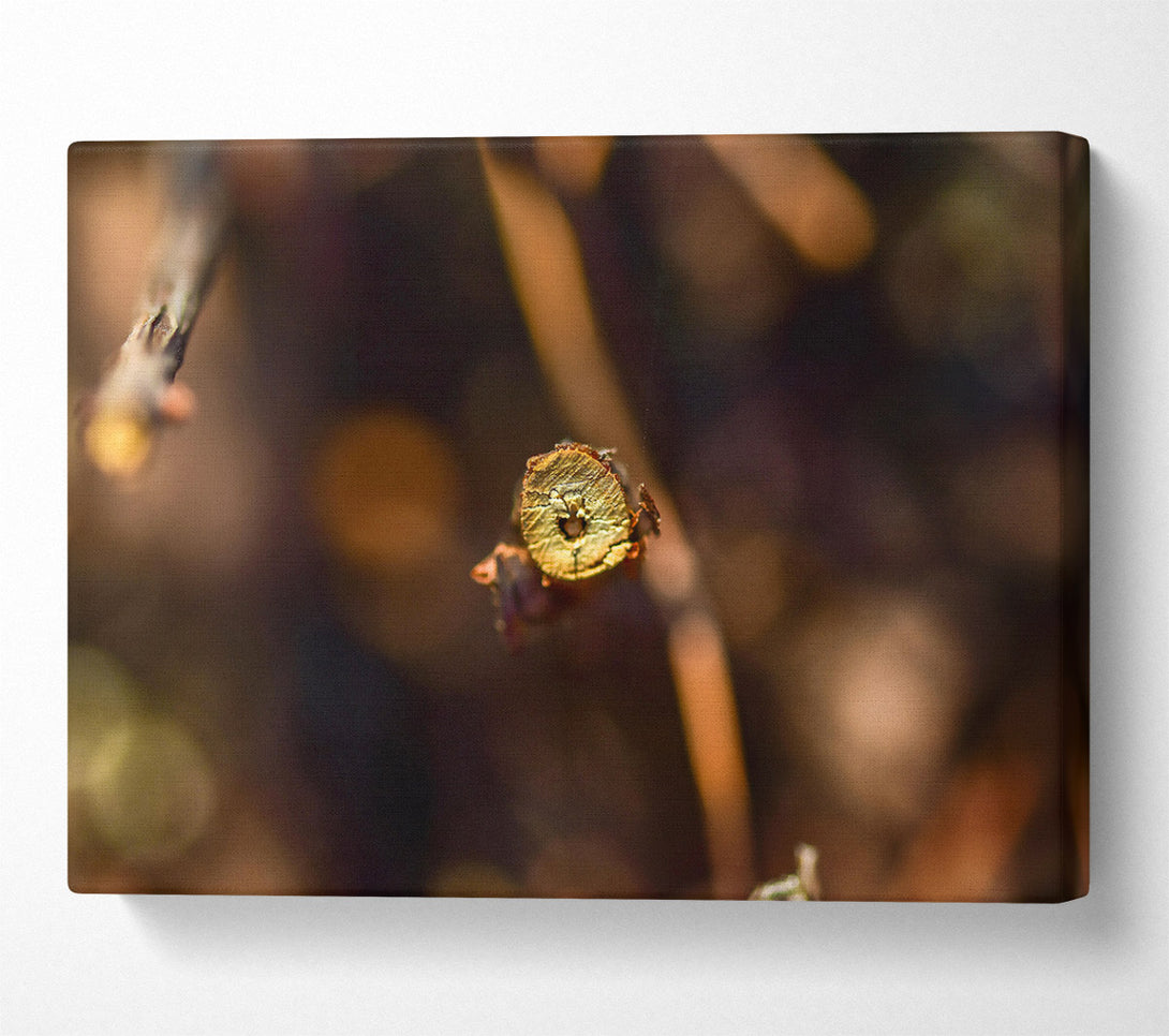  A Canvas Print of Golden Branch Detail Canvas Art