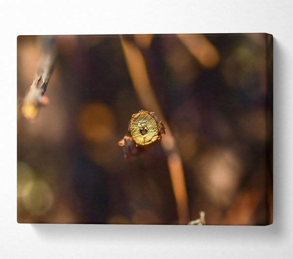  A Canvas Print of Golden Branch Detail Canvas Art