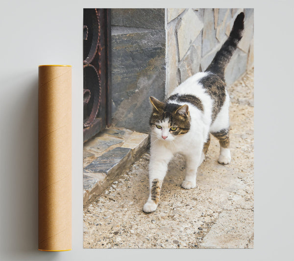 White Cat On Tan Stone Print
