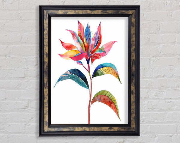 Paradise Flower Framed Print