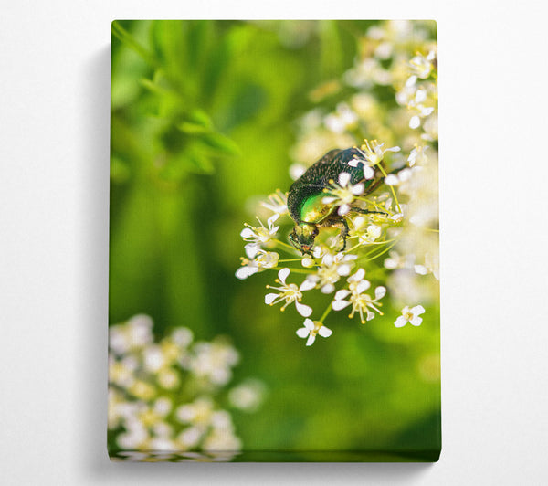  A Canvas Print of Emerald Bloom Beauty Canvas Wall Art