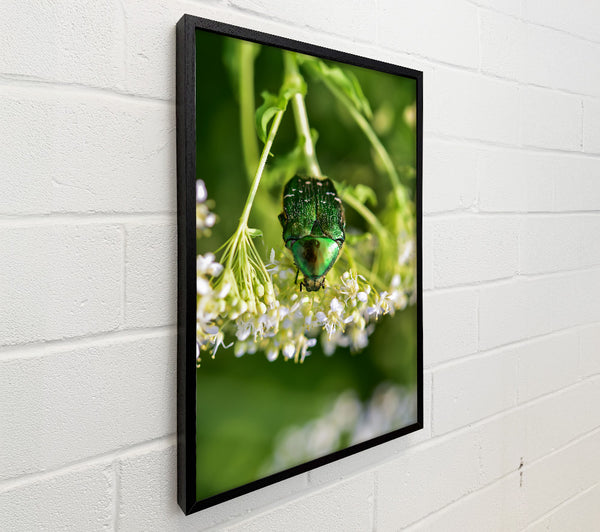Emerald Beetle Bloom