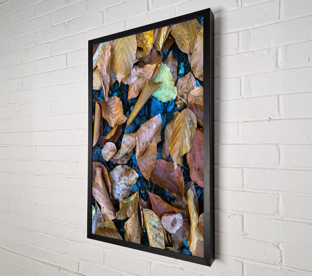  A Canvas Print of Autumn'S Golden Hues Canvas Print