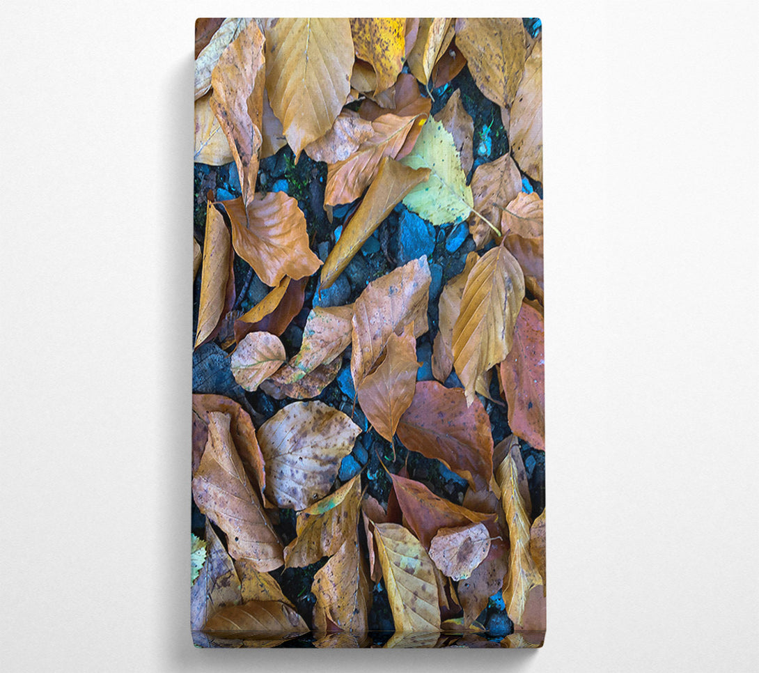  A Canvas Print of Autumn'S Golden Hues Canvas Print