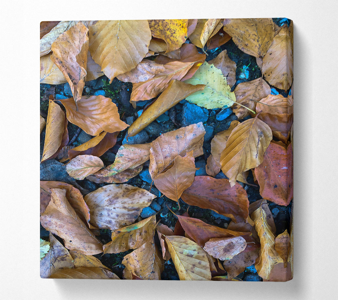  A Canvas Print of Autumn'S Golden Hues Canvas Print