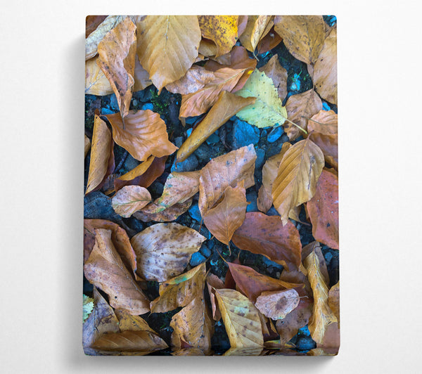  A Canvas Print of Autumn'S Golden Hues Canvas Print
