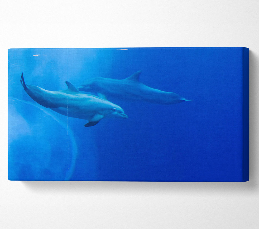  A Canvas Print of Blue Dolphin Dive Canvas Wall Art