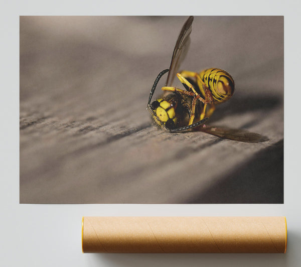 Yellow Wasp Struggle Print