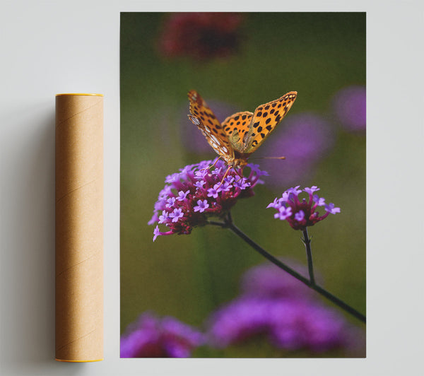 Orange On Purple Blooms Poster