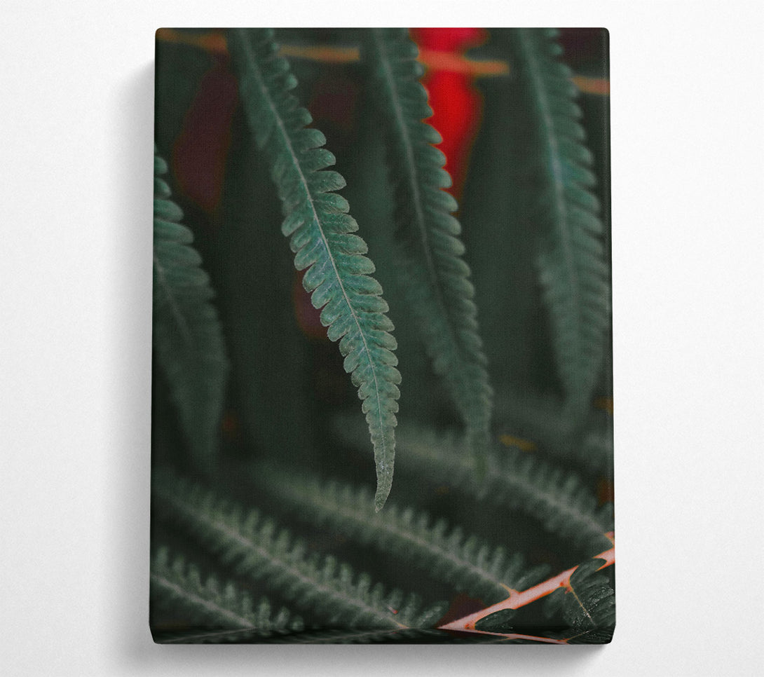  A Canvas Print of Emerald Fern Fronds Canvas Art