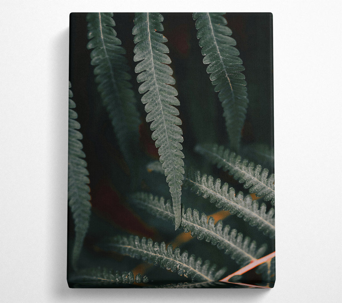  A Canvas Print of Emerald Fern Fronds Canvas Art