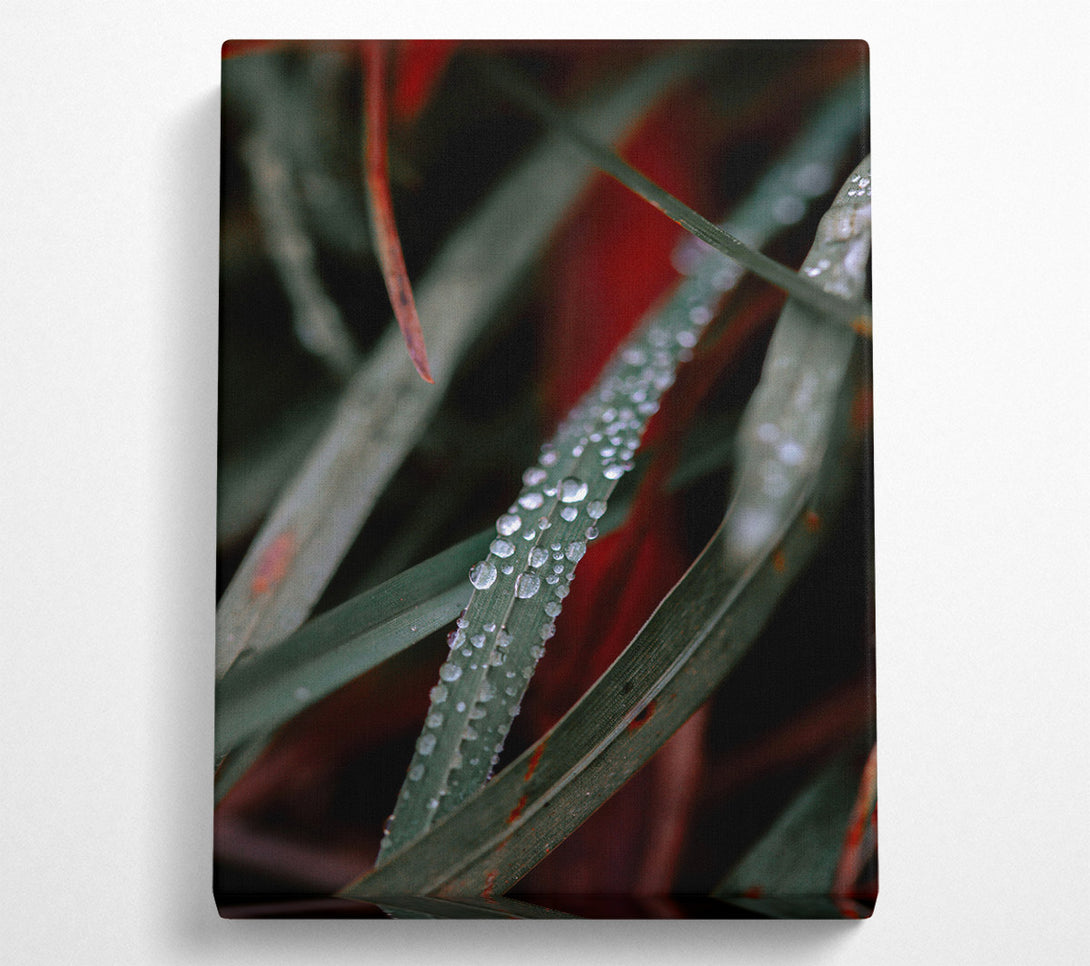  A Canvas Print of Emerald Dew Drops Canvas Wall Art