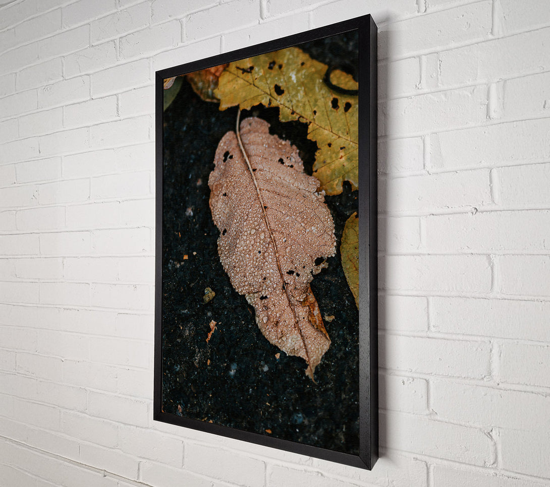  A Canvas Print of Dewy Brown Leaf Canvas Wall Art
