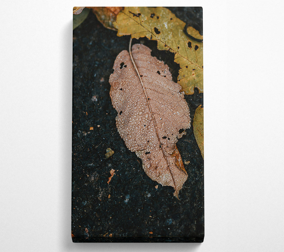  A Canvas Print of Dewy Brown Leaf Canvas Wall Art