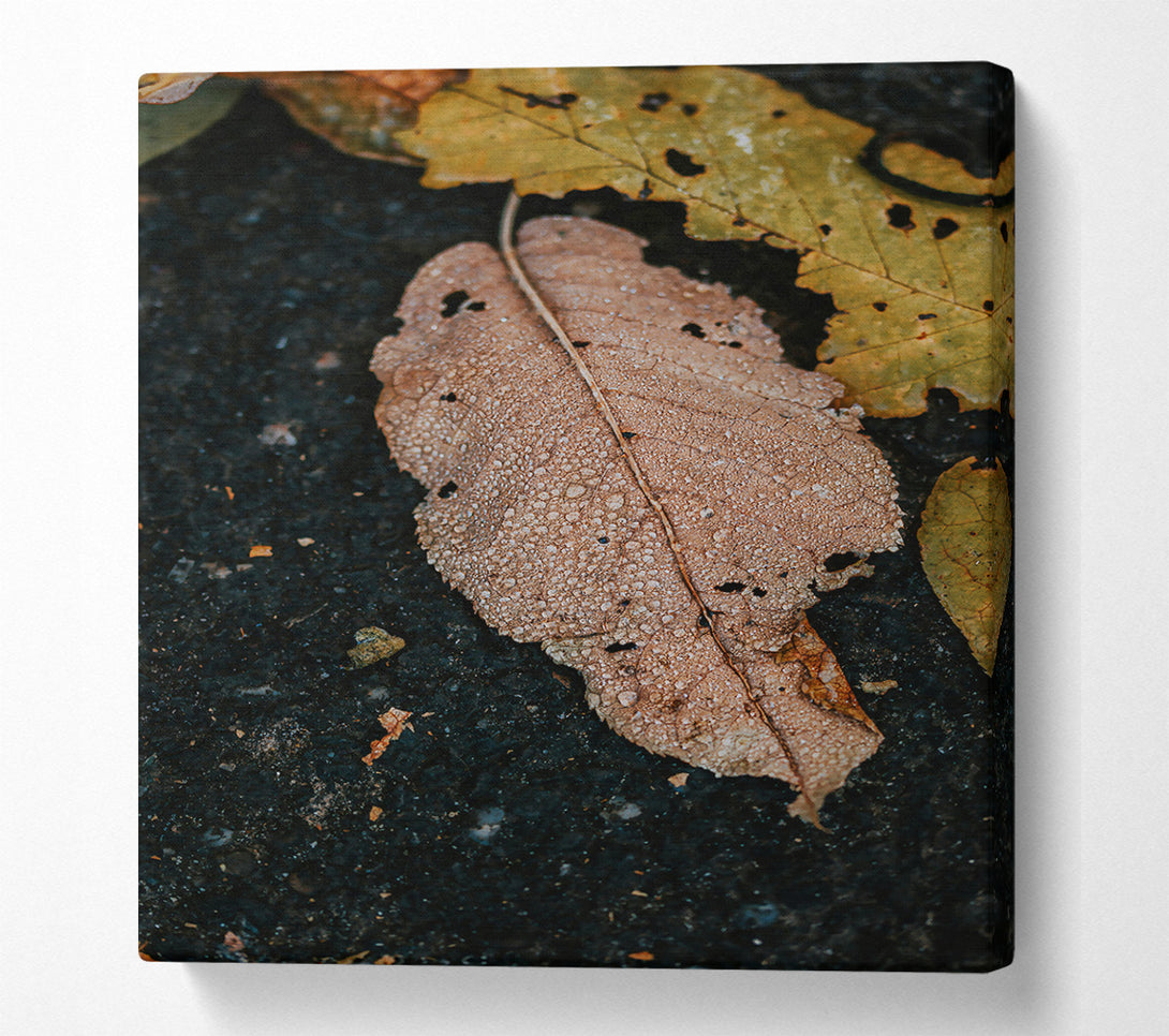  A Canvas Print of Dewy Brown Leaf Canvas Wall Art