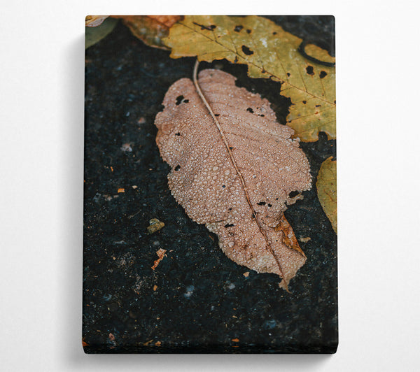  A Canvas Print of Dewy Brown Leaf Canvas Wall Art