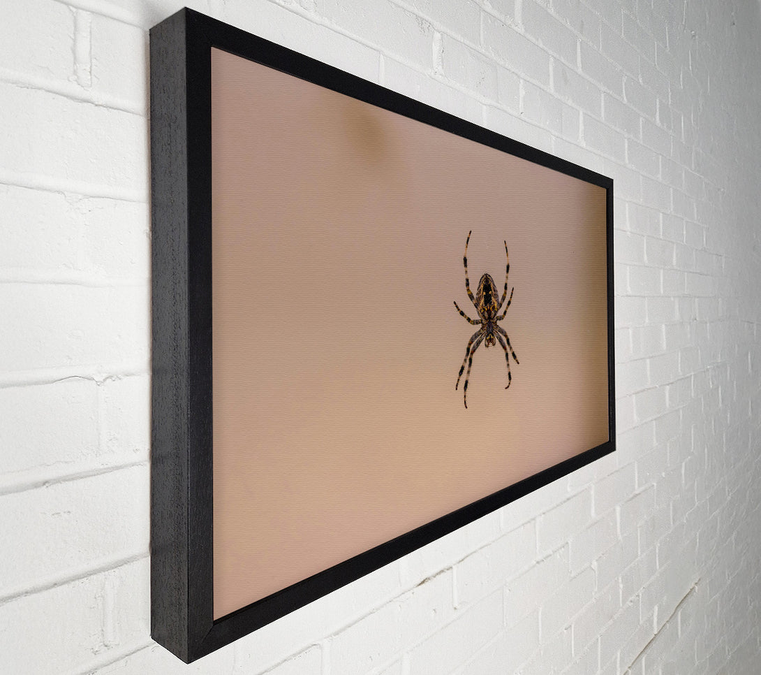  A Canvas Print of Beige Spiderweb Hunter Canvas Art