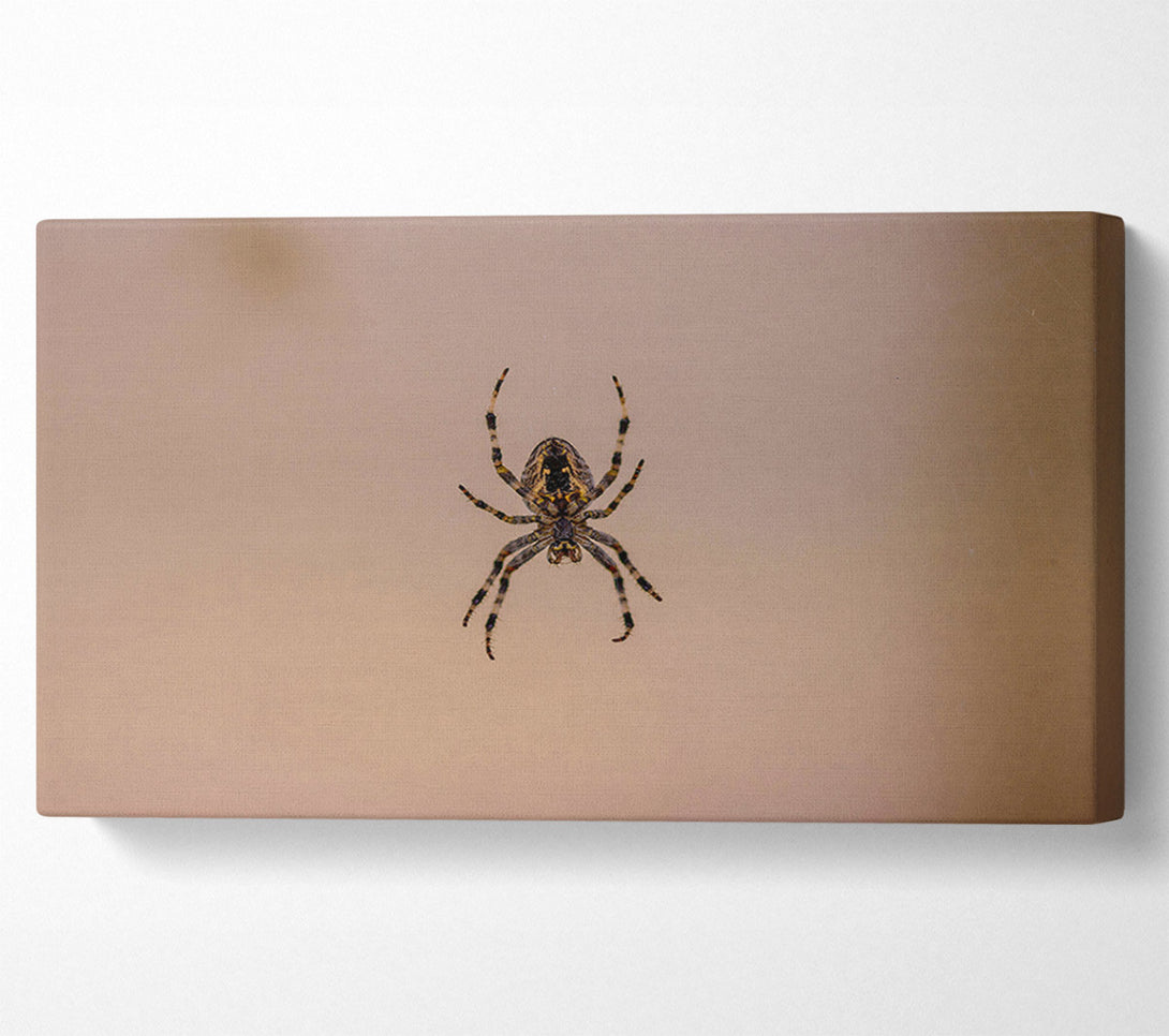  A Canvas Print of Beige Spiderweb Hunter Canvas Art