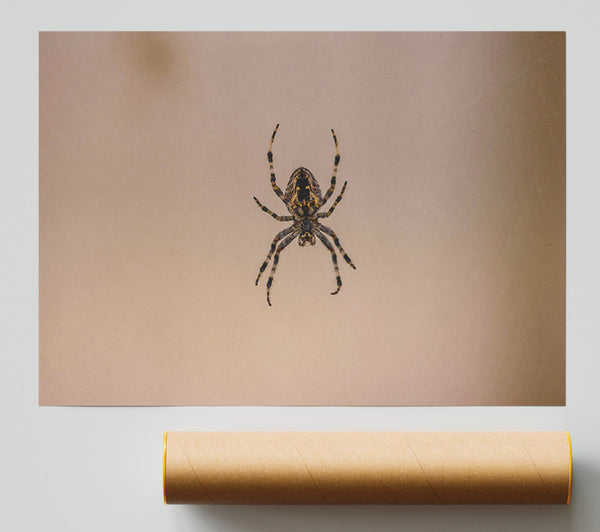 Beige Spiderweb Hunter Giclee Print