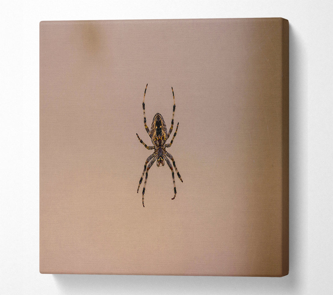  A Canvas Print of Beige Spiderweb Hunter Canvas Art