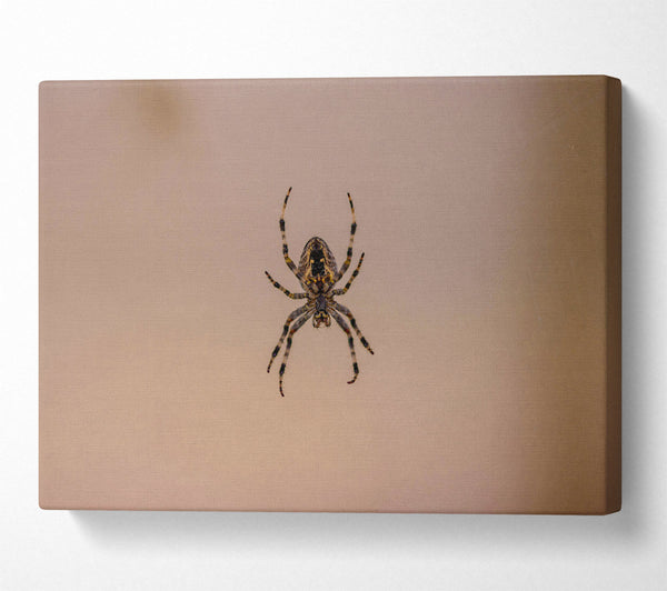  A Canvas Print of Beige Spiderweb Hunter Canvas Art