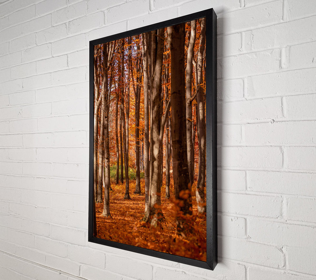  A Canvas Print of Golden Forest Columns Canvas Print