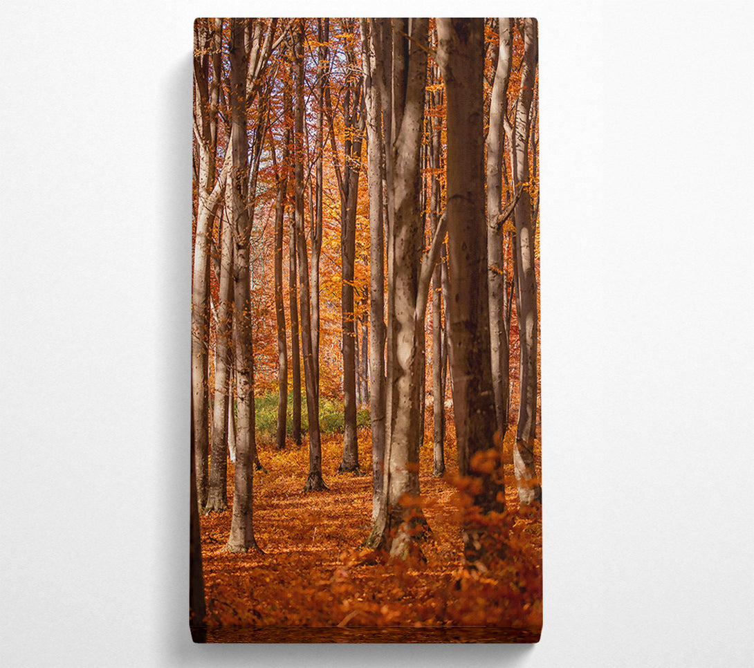  A Canvas Print of Golden Forest Columns Canvas Print
