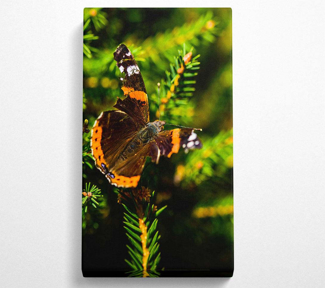  A Canvas Print of Orange Winged Resting Canvas Print