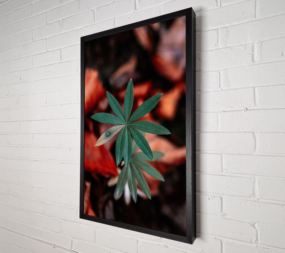  A Canvas Print of Green Leaf In Red Light Canvas Wall Art