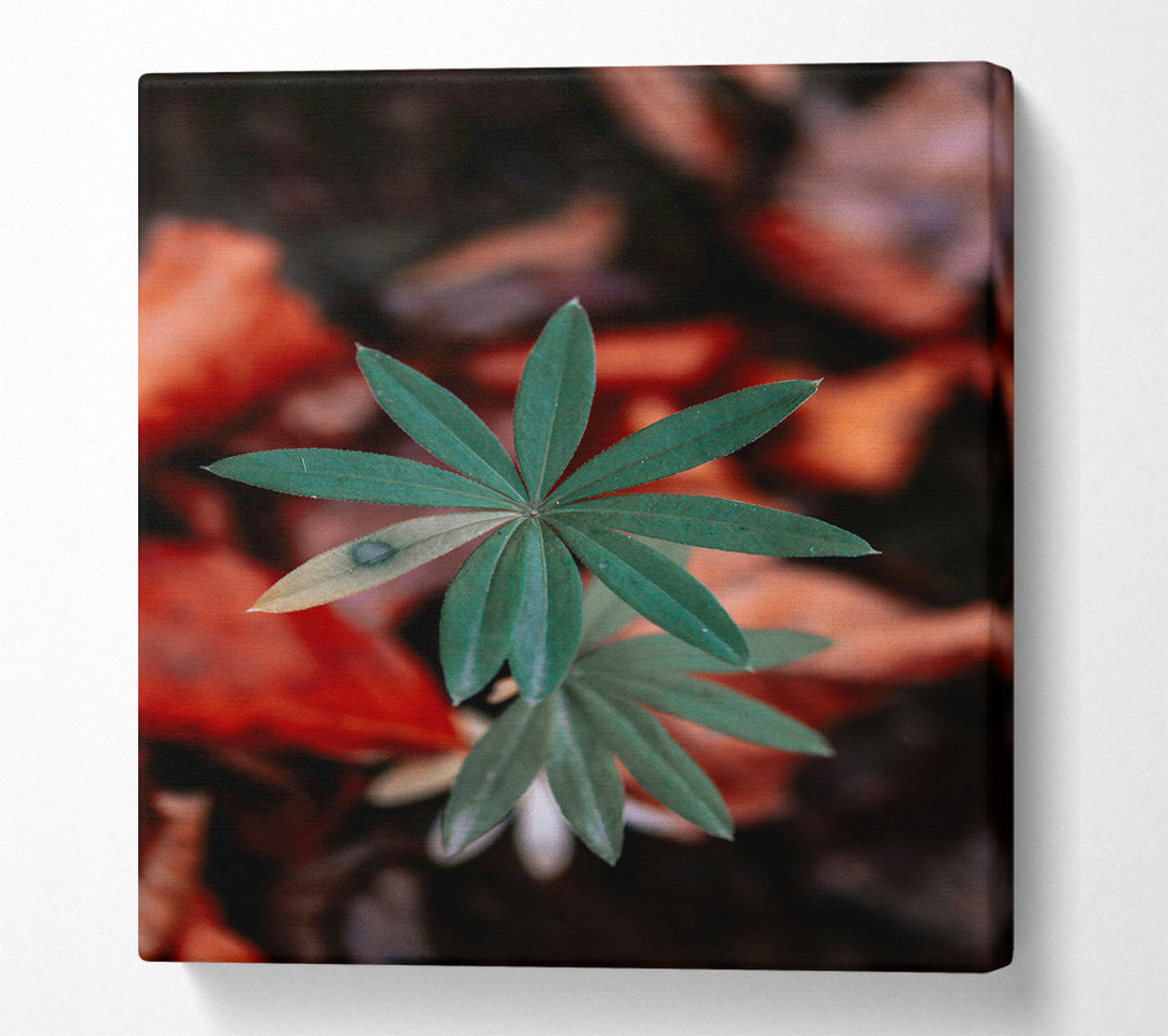  A Canvas Print of Green Leaf In Red Light Canvas Wall Art