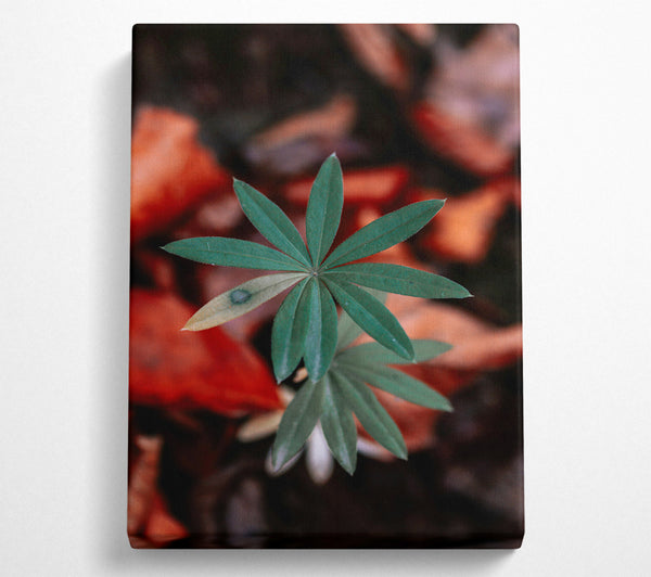  A Canvas Print of Green Leaf In Red Light Canvas Wall Art