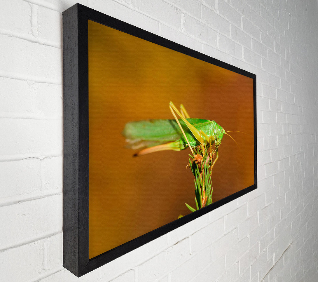  A Canvas Print of Green Grasshopper On Branch Canvas Art