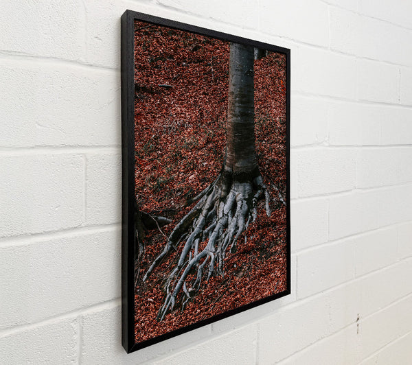 Rust-Colored Roots