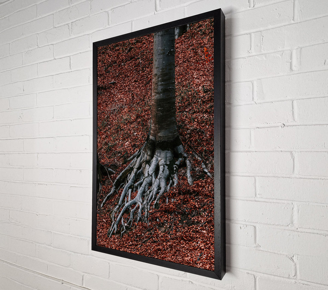  A Canvas Print of Rust-Colored Roots Canvas Wall Art