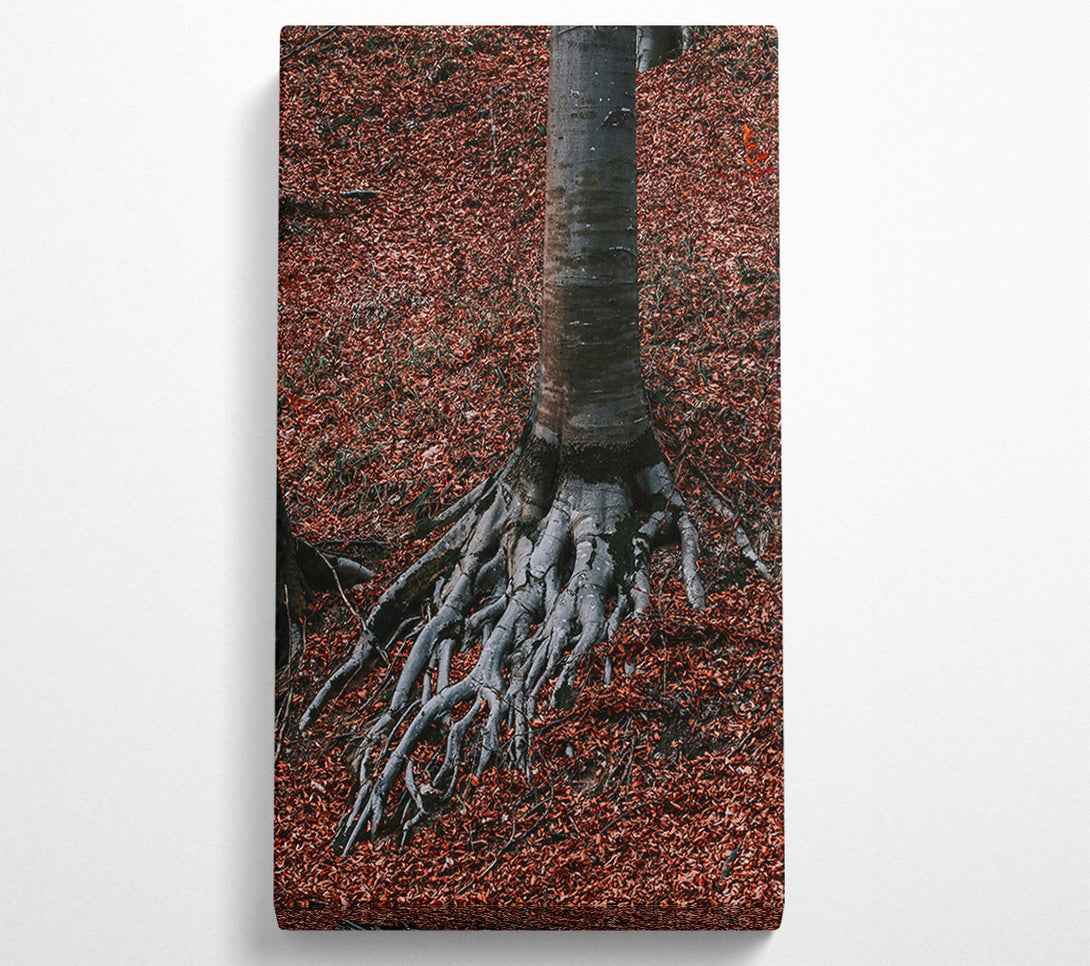  A Canvas Print of Rust-Colored Roots Canvas Wall Art