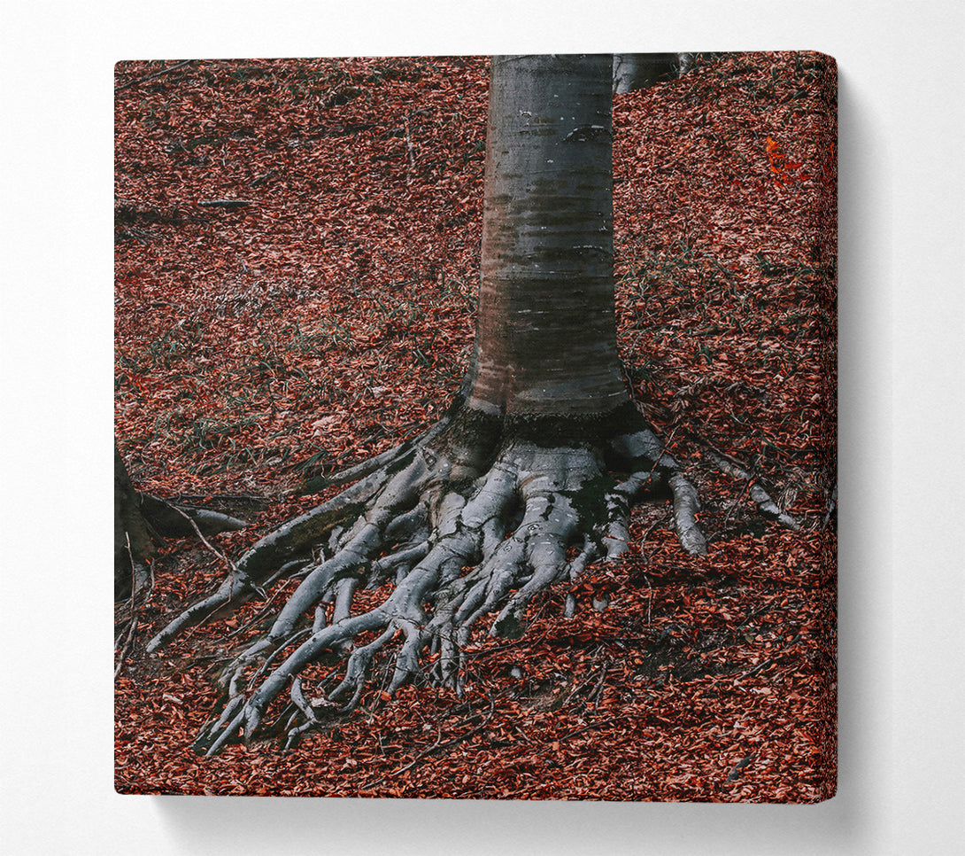  A Canvas Print of Rust-Colored Roots Canvas Wall Art