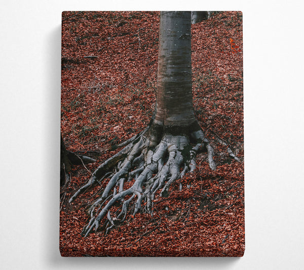  A Canvas Print of Rust-Colored Roots Canvas Wall Art