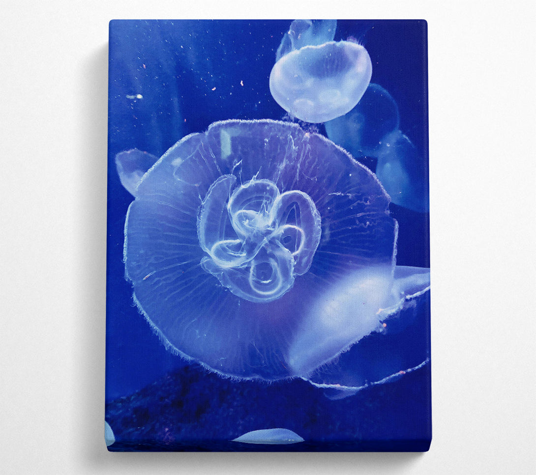  A Canvas Print of Loading... Canvas Print