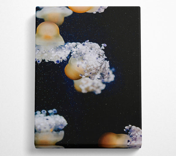  A Canvas Print of Orange Jellyfish Dreams Canvas Art