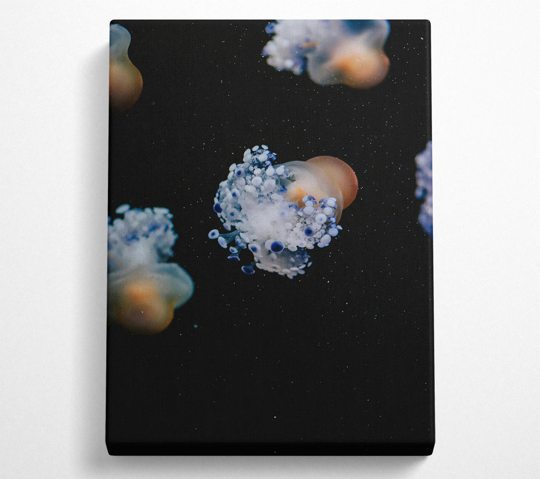 A Canvas Print of Loading... Canvas Print