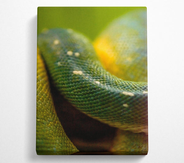  A Canvas Print of Emerald Green Scales Canvas Print