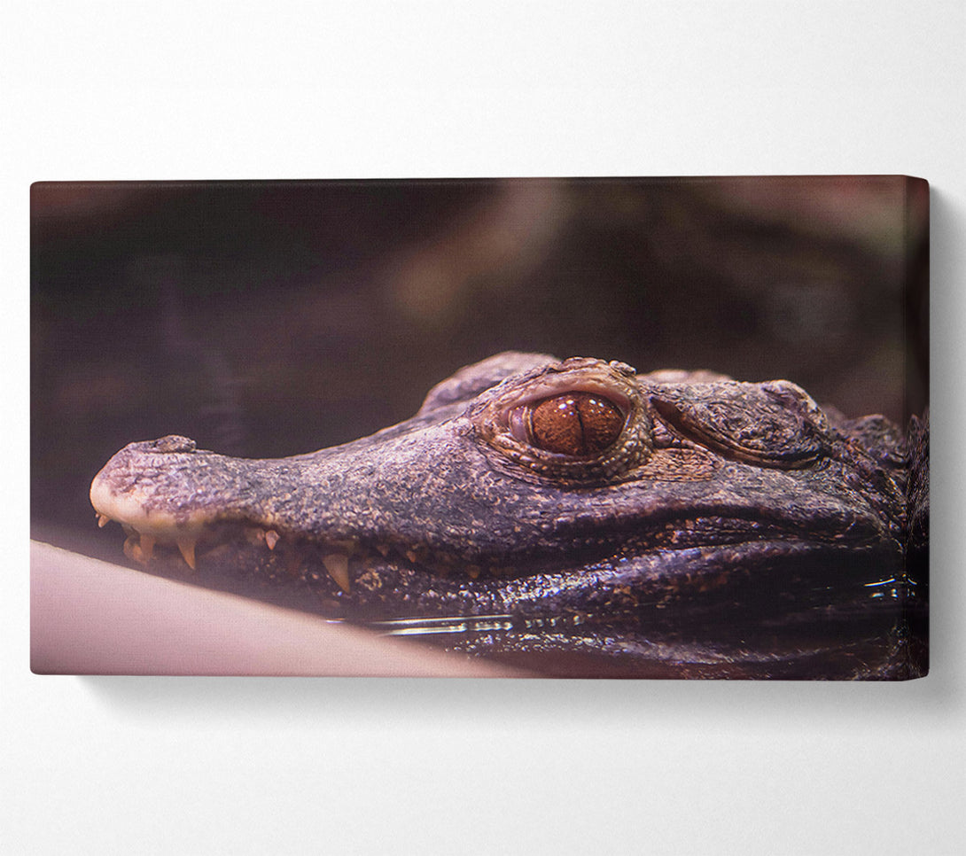  A Canvas Print of Brown Eye Of The Nile Canvas Wall Art