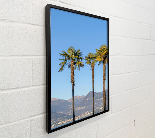 Blue Sky Palm Trees