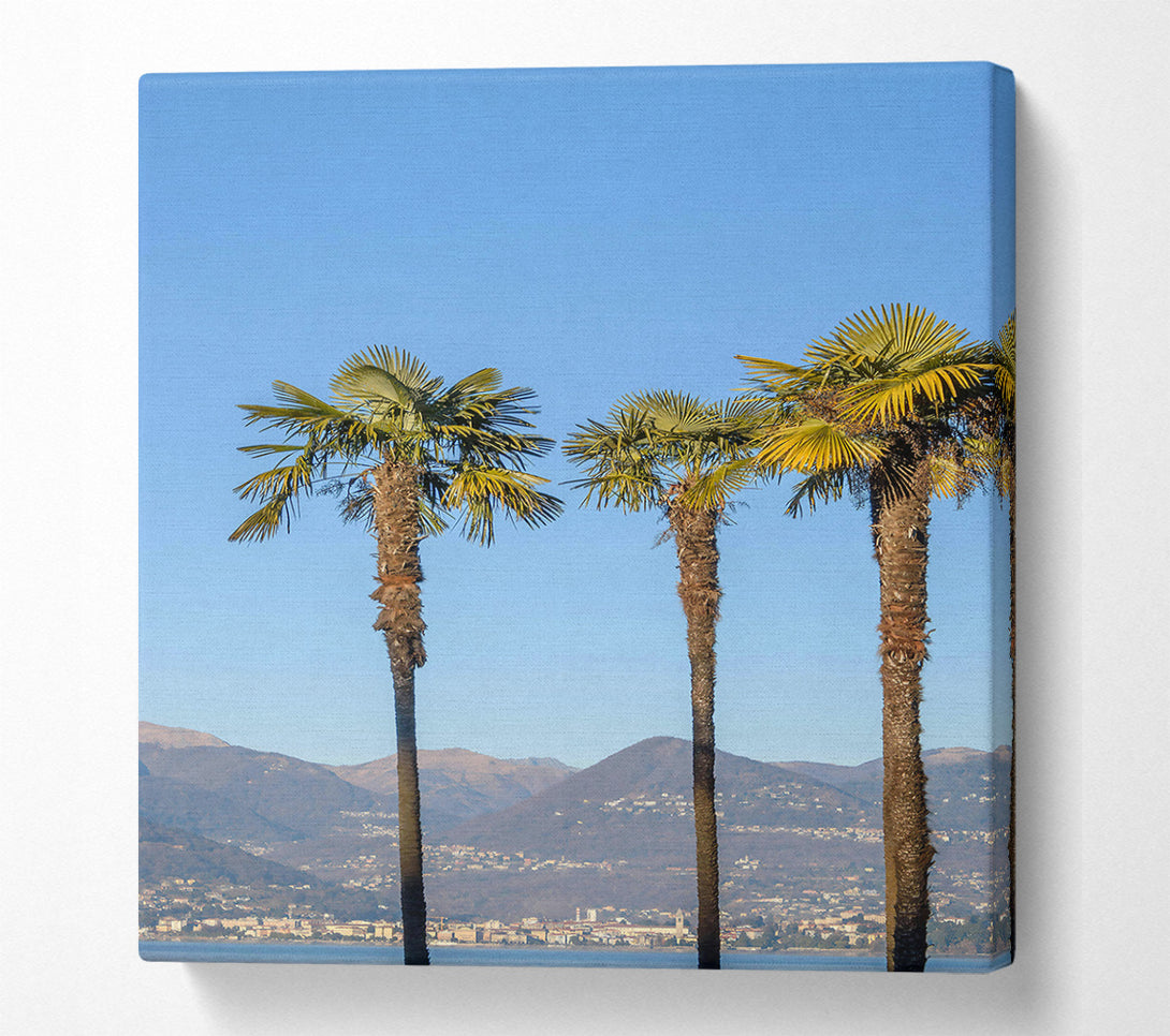  A Canvas Print of Blue Sky Palm Trees Canvas Art