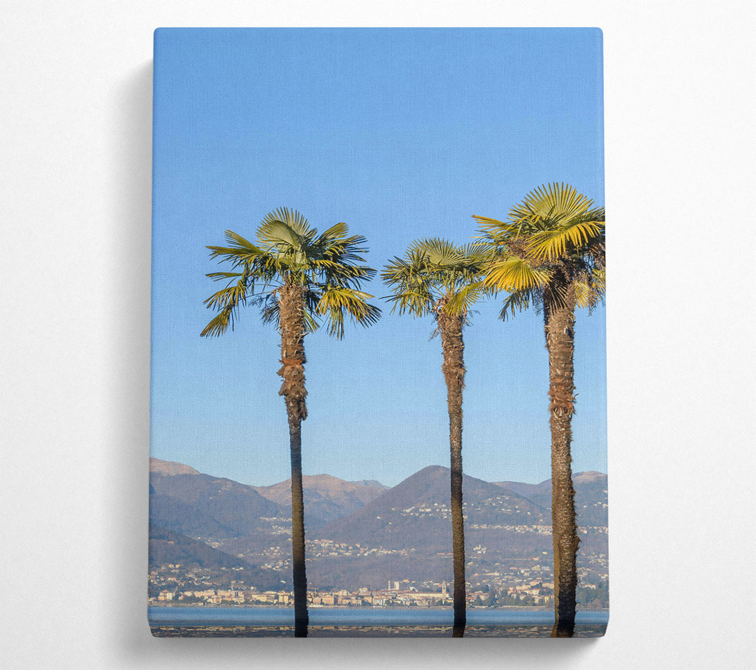  A Canvas Print of Blue Sky Palm Trees Canvas Art